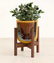 Load image into Gallery viewer, Sunset Orange stand:walnut