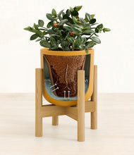 Load image into Gallery viewer, Sunset Orange stand:bamboo