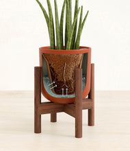 Load image into Gallery viewer, Earth Red stand:walnut