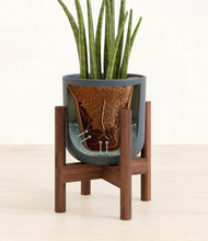 Load image into Gallery viewer, Iron Gray stand:walnut