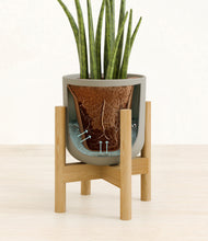 Load image into Gallery viewer, Sage Green stand:bamboo