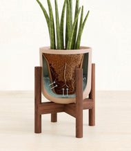 Load image into Gallery viewer, Sandy Pink stand:walnut