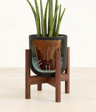 Load image into Gallery viewer, Stone Black stand:walnut