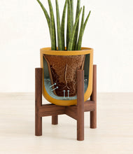 Load image into Gallery viewer, Sunset Orange stand:walnut