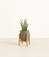 Load image into Gallery viewer, Olive stand:bamboo