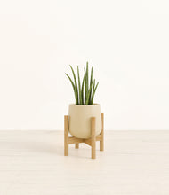 Load image into Gallery viewer, Almond Green stand:bamboo