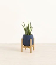 Load image into Gallery viewer, Deep Navy stand:bamboo