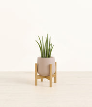 Load image into Gallery viewer, Eternal Gray stand:bamboo