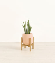 Load image into Gallery viewer, Gentle Pink stand:bamboo