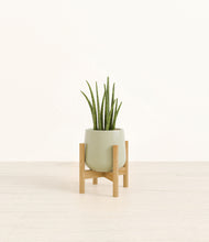 Load image into Gallery viewer, Turquoise stand:bamboo