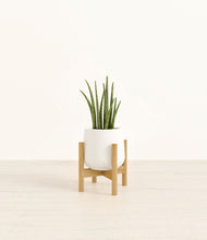 Load image into Gallery viewer, White stand:bamboo