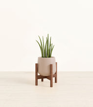 Load image into Gallery viewer, Eternal Gray stand:walnut