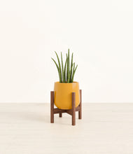 Load image into Gallery viewer, Mustard stand:walnut