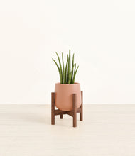 Load image into Gallery viewer, Calm Rose stand:walnut