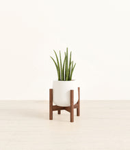 Load image into Gallery viewer, White stand:walnut