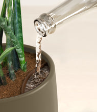 Load image into Gallery viewer, Olive stand:all