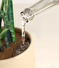 Load image into Gallery viewer, Almond Green stand:all