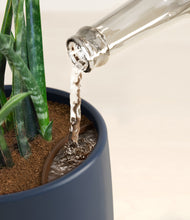 Load image into Gallery viewer, Deep Navy stand:all