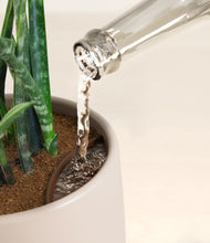 Load image into Gallery viewer, Eternal Gray stand:all