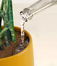 Load image into Gallery viewer, Mustard stand:all