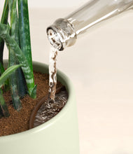 Load image into Gallery viewer, Turquoise stand:all