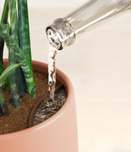 Load image into Gallery viewer, Calm Rose stand:all