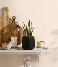 Load image into Gallery viewer, Black