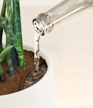 Load image into Gallery viewer, White