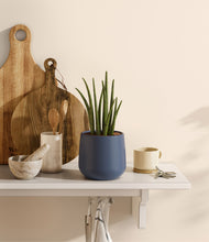 Load image into Gallery viewer, Deep Navy