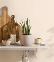 Load image into Gallery viewer, Eternal Gray