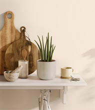 Load image into Gallery viewer, Cotton White