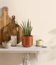 Load image into Gallery viewer, Glossy Red