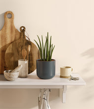 Load image into Gallery viewer, Iron Gray