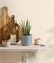 Load image into Gallery viewer, Misty Blue