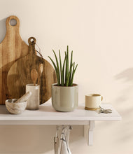 Load image into Gallery viewer, Sage Green