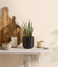 Load image into Gallery viewer, Stone Black