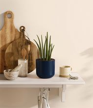 Load image into Gallery viewer, Twilight Blue