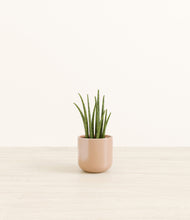 Load image into Gallery viewer, Glossy Pink*****Profile