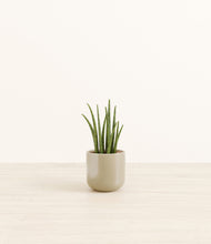 Load image into Gallery viewer, Sage Green*****Profile