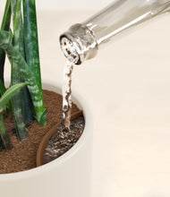 Load image into Gallery viewer, Cotton White stand:all