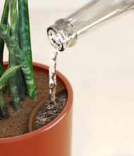 Load image into Gallery viewer, Glossy Red stand:all