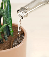 Load image into Gallery viewer, Glossy Pink stand:all