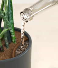 Load image into Gallery viewer, Iron Gray stand:all