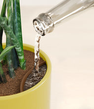 Load image into Gallery viewer, Key Lime Yellow stand:all