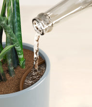 Load image into Gallery viewer, Misty Blue stand:all