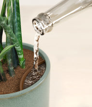 Load image into Gallery viewer, Reactive Aqua stand:all