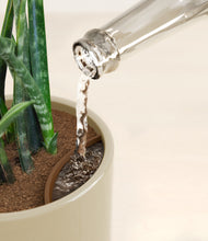 Load image into Gallery viewer, Sage Green stand:all