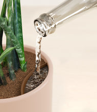 Load image into Gallery viewer, Sandy Pink stand:all