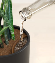 Load image into Gallery viewer, Stone Black stand:all