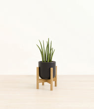 Load image into Gallery viewer, Stone Black stand:bamboo